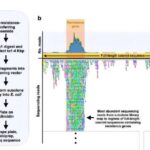 RNT-seq, təsirli xərçəng mutasiyalarını aşkar etməkdə DNT metodlarından üstündür