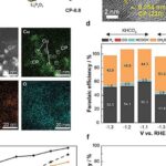 SARS-CoV-2 tor qişada Alzheimer ilə əlaqəli peptidlərin yığılmasına səbəb ola bilər