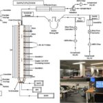 Treehoppers’ın möhtəşəm baş geyimi həm “Spidey-sense” elektrik xəbərdarlıq sistemi, həm də bioelektrik plaşdır.