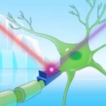 X-ray binar SXP31.0-da aşkar edilmiş kvazi dövri rəqslər