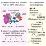 Dörd əsas neyrodegenerativ xəstəlik üzrə paylaşılan beş biomarker profili