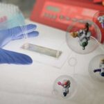 Mantiyanın volfram əmələ gəlməsindəki gizli rolu uzun müddət davam edən geoloji nəzəriyyələri alt-üst edir