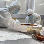 Süni intellekt əməliyyat zamanı glioblastomanı oxşar xərçənglərdən fərqləndirir