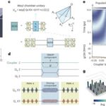MicroBooNE detektoru MiniBooNE anomaliyasının elektron neytrino səbəbini istisna edirTejasri Gururaj tərəfindən , Phys.org