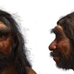Hibrid axın hüceyrə sistemi CO₂ birbaşa hava tutma texnologiyasını təkmilləşdirir