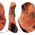 Güclü maqnit sahəsi materiallar fizikasında “yeni ikilik” haqqında suala cavab verməyə kömək edir