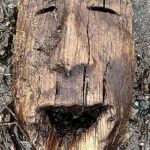 Sualtı “insan yaşayış yeri” elm adamlarına səthin altında yaşamağa və işləməyə imkan vermək üçün nəzərdə tutulmuşdur