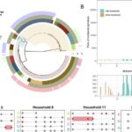 Uşaqlar düşündüyünüzdən daha ağıllıdır: Gənc şimpanzelər alətlər icad edir və böyüklər üçün dizaynları təkmilləşdirirlər