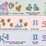 Süni intellekt daha ağıllı böyüdükcə, o, getdikcə eqoist ola bilər