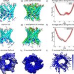 İtterbium-171 atomlarına əsaslanan kvant rabitə şəbəkəsini həyata keçirmək üçün yeni genişlənə bilən yanaşma