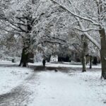Dalğaların altında: Üzən günəş panelləri dəniz dibini vurğulayır