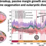Süni intellekt və vətəndaş elmi Madaqaskarda invaziv malyariya ağcaqanadının potensial ilk aşkarlanmasını ortaya qoyur