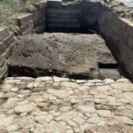 Yarasaların beyni ay və ulduzlardan asılı olmayan qlobal sinir kompası aşkar edir