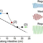 Bionic ayağının pilot performansı onun texnologiyasını və komanda işinin rolunu vurğulayır