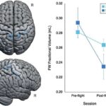 Böyük axtarış bölgüsü: AI və ənənəvi veb axtarışları necə fərqlənir