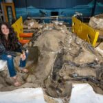 Elm adamları qəribə, su ilə zəngin ekzoplanetlərin izahını tapırlar: Onlar öz sularını yaradırlar