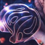 Virusların daxil olma yollarının və fırıldaqçı molekulların kəşfi sarı qızdırma və ensefalitin qarşısını ala bilər.