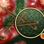 Riyazi sübut kainatın kompüter simulyasiyası olması fikrini təkzib edir