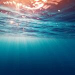 Qlobal iqlim modelləri azot dövrünə ehtiyac duyur – bunların hamısı