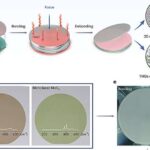 Epigenetik dəyişikliklər gen ifadəsini tənzimləyir, bəs epigenetikanı nə tənzimləyir?