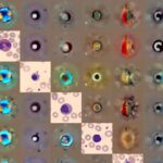 Tədqiqatçılar, ultra emal olunmuş qidaların pəhrizlərdə üstünlük təşkil etdiyi və ictimai sağlamlığı təhdid etdiyi üçün hərəkətə keçməyə çağırır