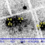 İnsanlarda simptomsuz H5N1 infeksiyası: Sübut az olaraq qalır