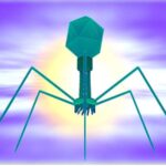 Araşdırma göstərir ki, Afrikanın təcrid olunmuş şəhərlərində insanlar dinc insanlara qarşı daha çox zorakılığa məruz qalırlar