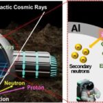 Bağırsaqları hələ də sağlam olan, başı kəsilmiş fosil balıq qədim yırtıcı vərdişləri ortaya qoyur
