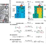 Dilin haradan gəldiyini yenidən düşünmək: Çərçivə biologiya və mədəniyyətin mürəkkəb qarşılıqlı təsirini ortaya qoyur