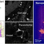Günəş sistemimiz gözlənildiyindən daha sürətli hərəkət edir