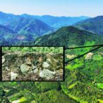 Əvvəllər diqqətdən kənarda qalan dinozavr regurgitalit nümunəsində yeni pterozavr növləri aşkar edilib