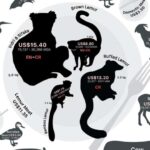 TOI-1422 sistemində ikinci ekzoplanet kəşf edildi