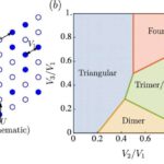 Nüvə reseptorlarındakı ‘gizli’ bağlayıcı cib alternativ dərman hədəfləri təklif edir