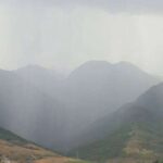 Nəsli kəsilməkdə olan lemurlar lüks ət ticarətinin yeni təhlükəsi ilə üzləşirlər