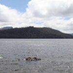 Yenidən konfiqurasiya edilə bilən DNT origami massivlərinə əsaslanan nanorobotlar avtonom şəkildə işləyə bilər