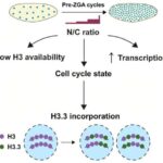 Mamır sporları Beynəlxalq Kosmik Stansiyadan kənarda 9 ay yaşayır