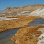 Cins və yaş forması Batten xəstəliyinin irəliləməsi, beyin dalğası araşdırması tapır