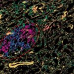 Fiziklər sehrli bucaqlı qrafendə qeyri-ənənəvi super keçiriciliyin əsas sübutlarını müşahidə edirlər