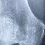 Quş qripi virusları qızdırmaya davamlıdır, bu da onları insanlar üçün böyük təhlükə yaradır