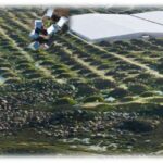 Şizofreniyanın mənşəyinin araşdırılması: Ölümdən sonrakı beyin toxumasında xromatinin əlçatanlığını öyrənmək