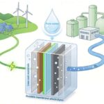 DNT forması və sərtliyi gen ifadəsinin əsas oyunçularını tənzimləyir