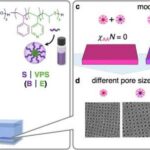 Alimlər koala və Buz Dövrü “kisəli aslan” arasında təəccüblü əlaqə aşkar ediblər