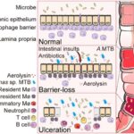 İnsan beyni dünyanı anlamaq üçün təlimatlarla əvvəlcədən konfiqurasiya edilmişdir, sübutlar göstərir
