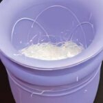 Soya toxumu zülalını artıran nadir itirilmiş allel müəyyən edilmişdir