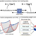 “Biz artıq elmi fantastikada yaşayırıq”: Neyrotexnika inqilabı