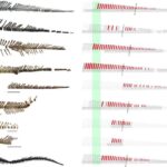 1 millisaniyədən çox davam edən superkeçirici kubit sənaye miqyası üçün hazırlanıb