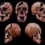 ABŞ-da Qərb çayları iqlim dəyişikliyi ilə mübarizədə müttəfiq ola bilər