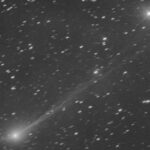 Bağırsaqları hələ də sağlam olan, başı kəsilmiş fosil balıq qədim yırtıcı vərdişləri ortaya qoyur