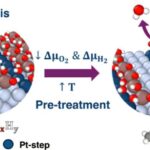 Ultra emal olunmuş qidalar yetkinlərdə erkən başlanğıc kolorektal xərçəng prekursorlarının daha yüksək nisbətləri ilə əlaqələndirilir