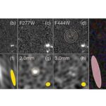 Maşın öyrənmə alqoritmi rentgen məlumatlarından 3D təsvirləri sürətlə yenidən qurur